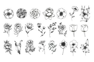 Floral Line Art Clipart Collection Graphic by Wannafang · Creative Fabrica
