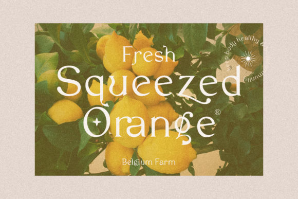 Garlich Grow Font - Preview 4