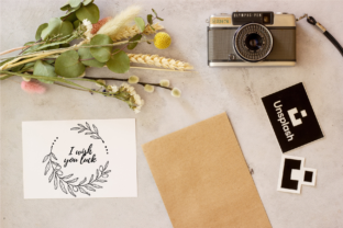 Olive Branch Clipart Collection Graphic by DigiArtSunfly · Creative Fabrica