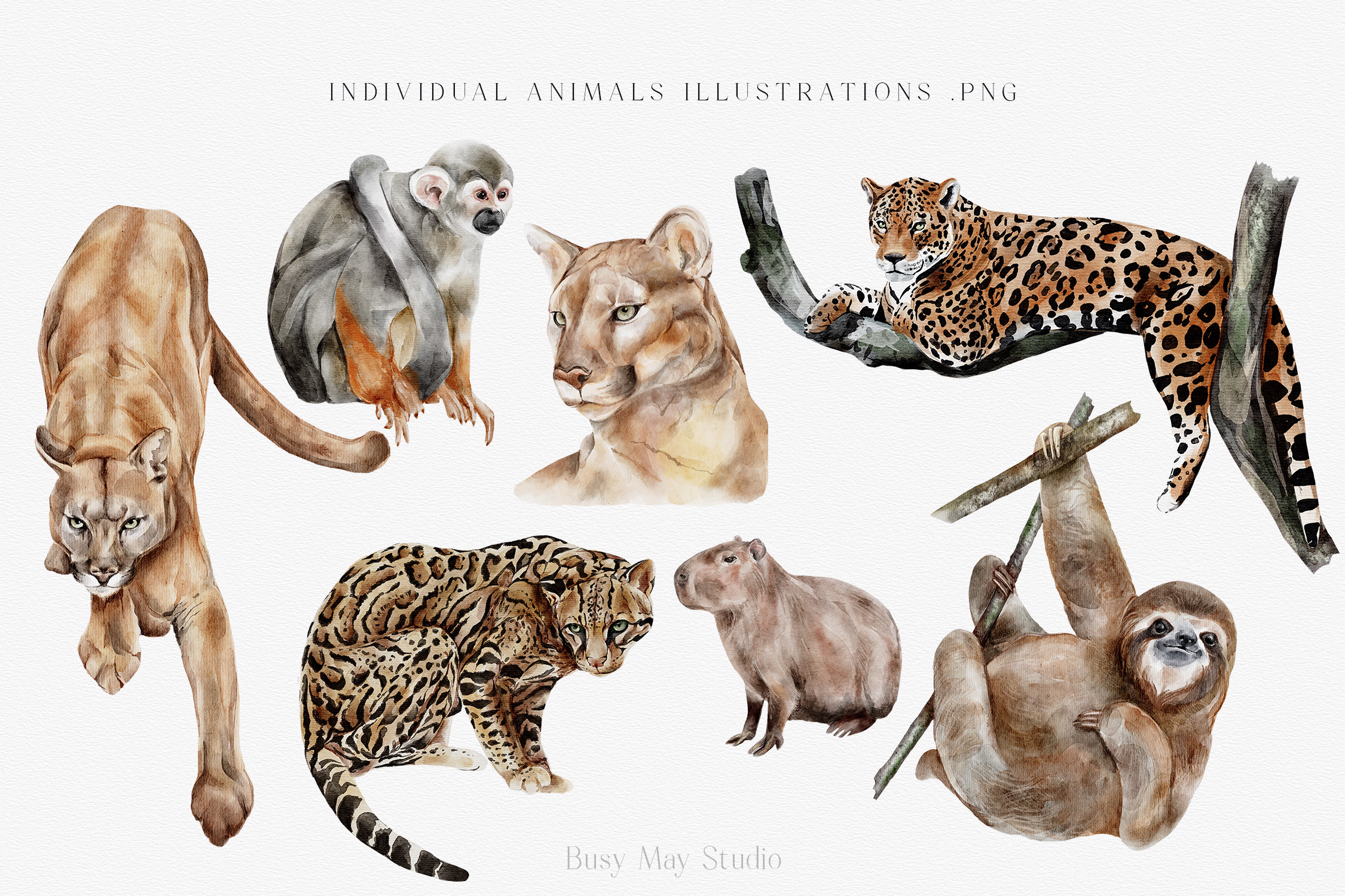 Modern Watercolor Rainforest Collection - photo 3