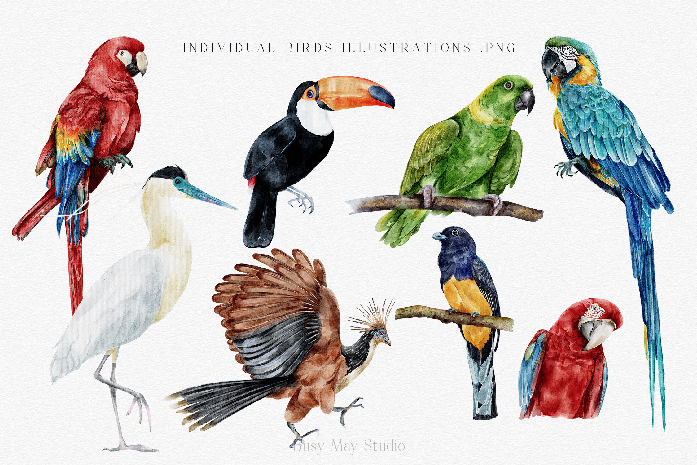 Modern Watercolor Rainforest Collection - photo 4