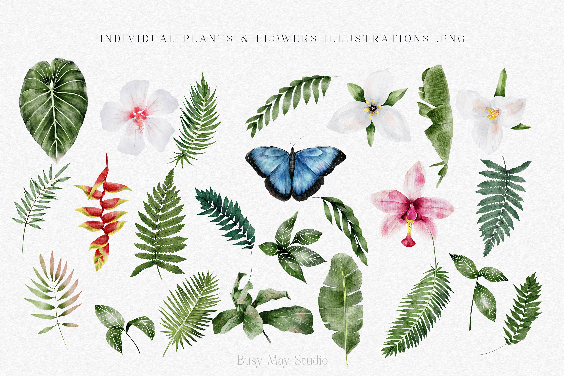 Modern Watercolor Rainforest Collection - photo 5