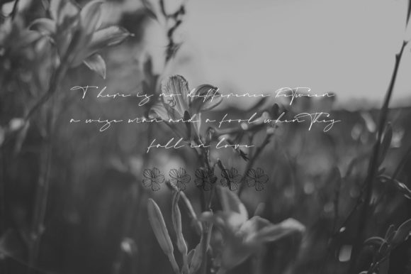 Mastrih Font PNG with transparent background - Preview 4