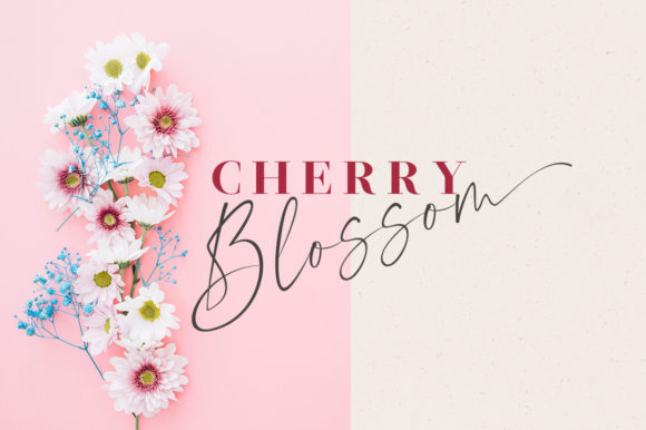 Morning Flower Duo Font PNG with transparent background - Preview 1