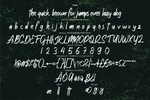 Rakasta Font font preview - 5
