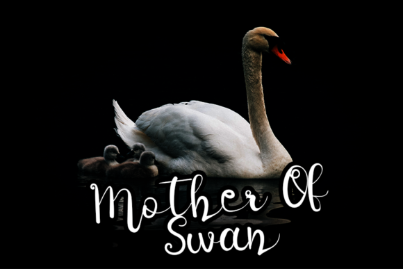 Black Swan Font - Preview 1