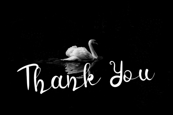 Black Swan Font - Preview 3