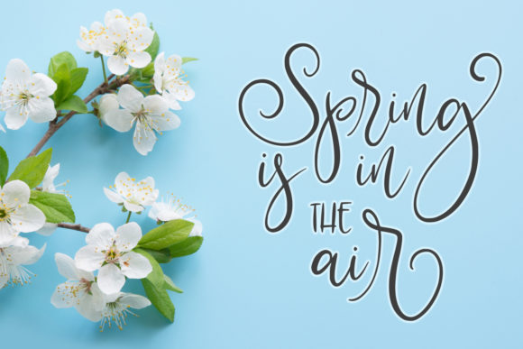 Blessed Farmhouse Font PNG with transparent background - Preview 2