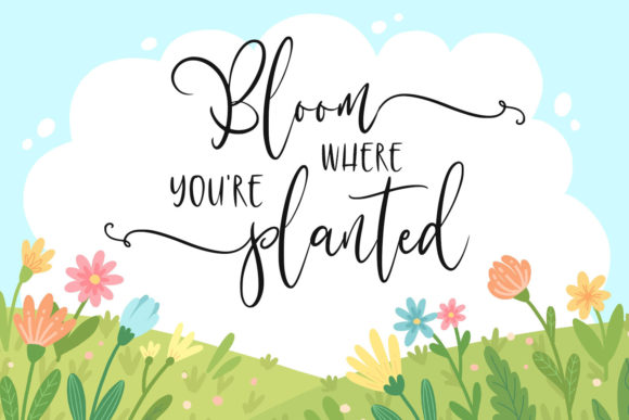 Blessed Farmhouse Font PNG with transparent background - Preview 4