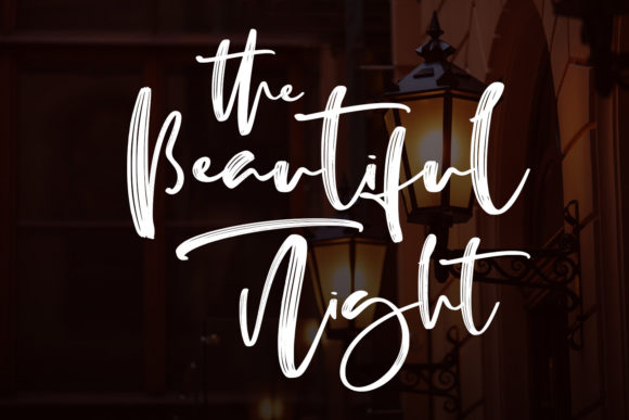 Bologna Script Font - Preview 3