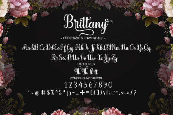 Brittany Font - Preview 5