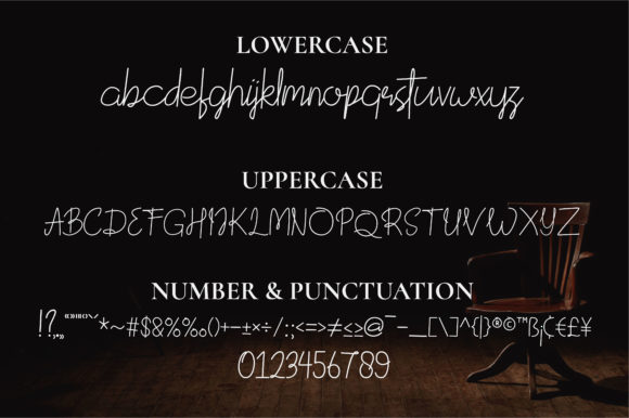 Devitaria Script Font - Preview 6