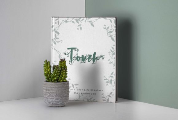 Flora Font - Preview 2