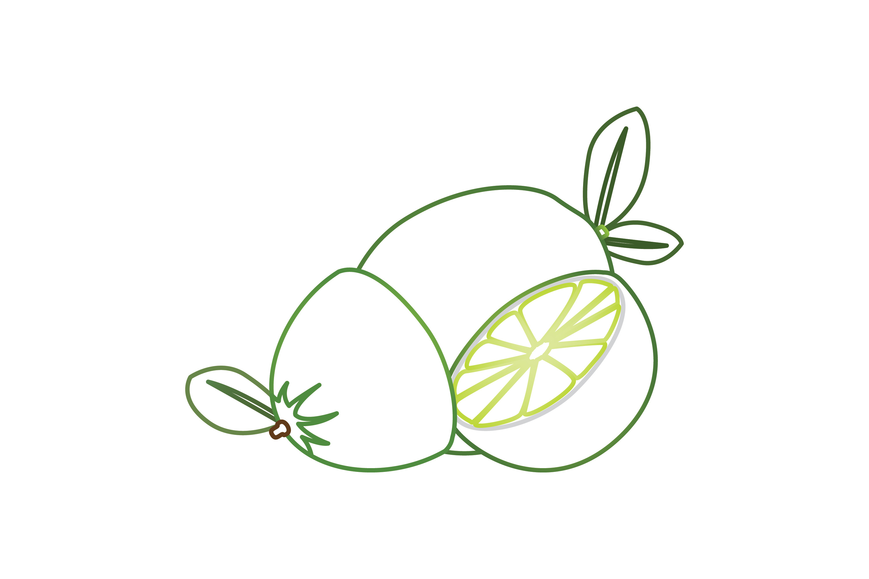Fruit Lime Color Line Icon-4 Graphic by raysaozora · Creative Fabrica