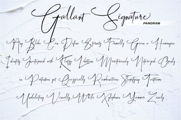 Gallant Signature Font - Preview 5