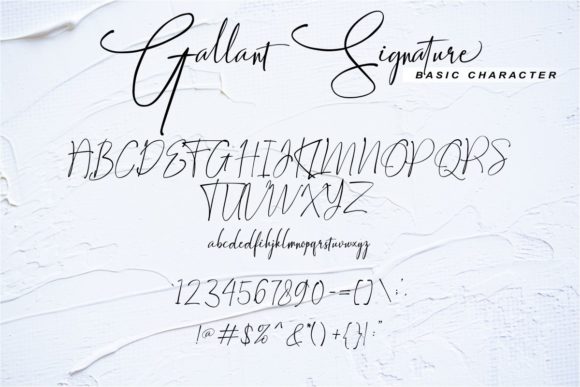 Gallant Signature Font - Preview 6