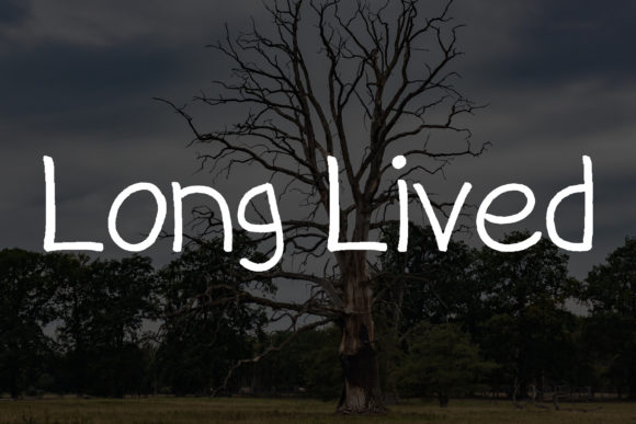 Old Tree Font PNG with transparent background - Preview 1