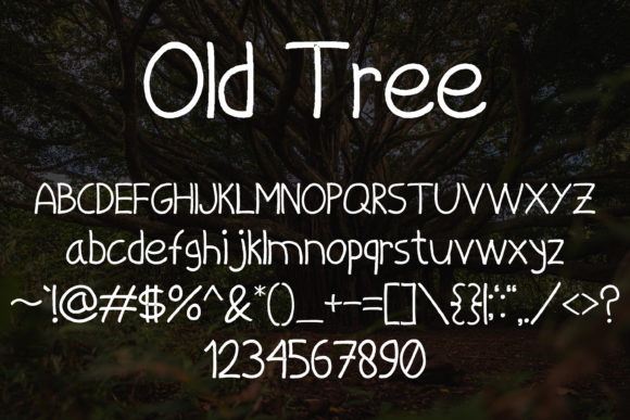 Old Tree Font PNG with transparent background - Preview 4