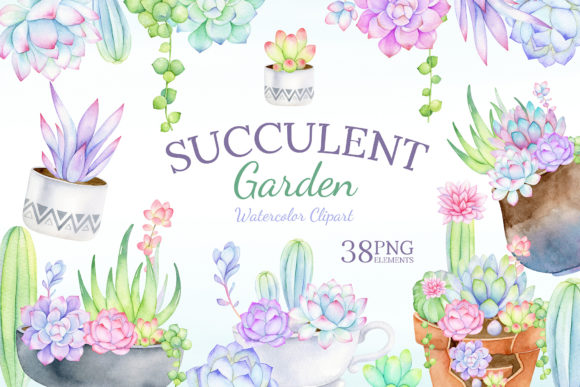 Watercolor Succulent Clipart Mix & Match Graphic Illustrations By SipkaDesigns