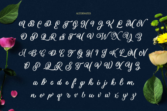 Aloha Olinda Font - Preview 3