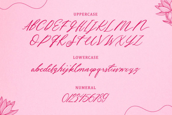 Hey Jane Font PNG with transparent background - Preview 1
