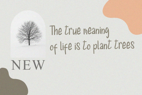 Meghalloria Font PNG with transparent background - Preview 6