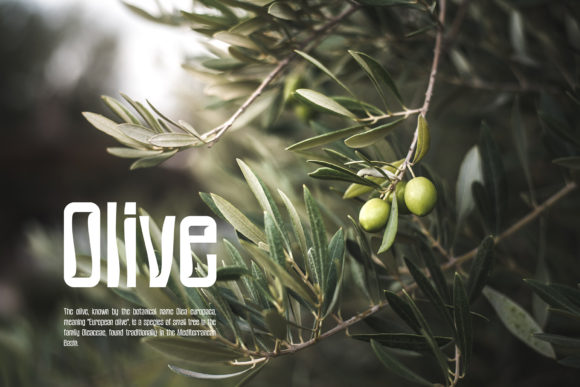 Ramsey Font PNG with transparent background - Preview 2