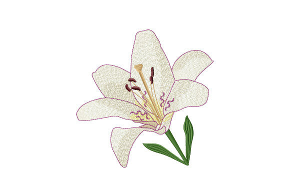 White Tiger Lily  Creative Fabrica
