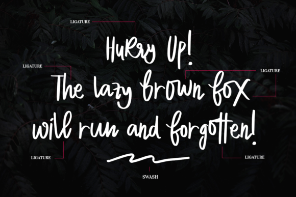 Dakota Magic Font - Preview 4