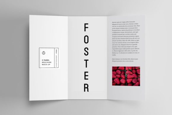 Foster Font - Preview 4