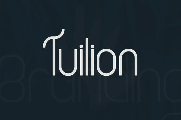 Ganier Font - Preview 3