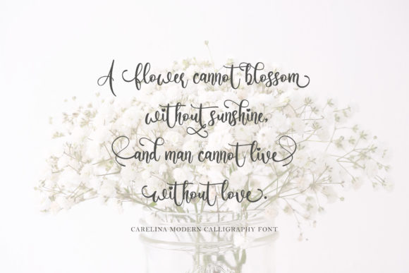 Carelina Font - Preview 6