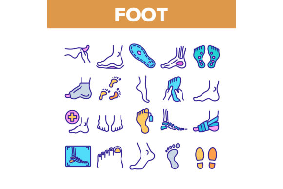 Foot Human Body Part Collection Icons