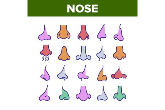 Nose Human Face Organ Collection Icons