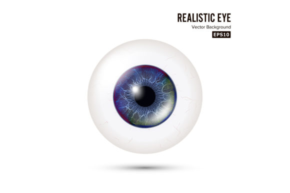 Realistic Human Eyeball. 3d Glossy