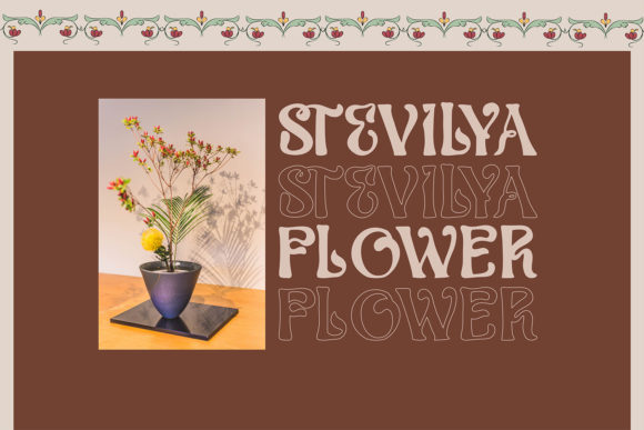 Aveila Font - Preview 3