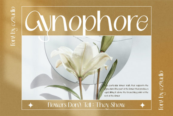 Delmera Font - Preview 4