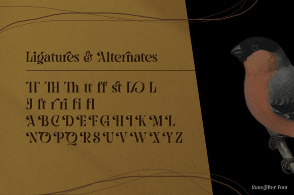 Rune Gifter Font font preview - 6