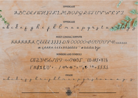 Scriptafela Font PNG with transparent background - Preview 1