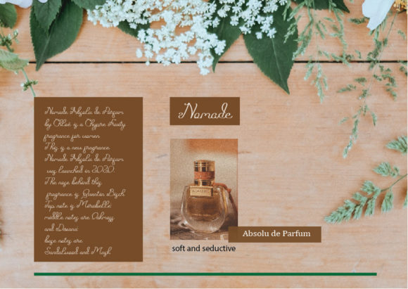 Scriptafela Font PNG with transparent background - Preview 3