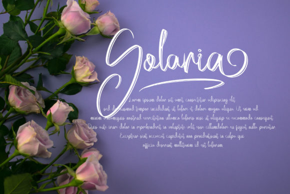 Acallypha Font - Preview 3