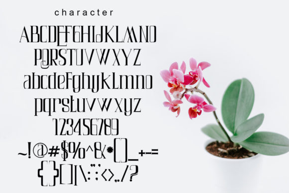 Air Leving Font - Preview 2