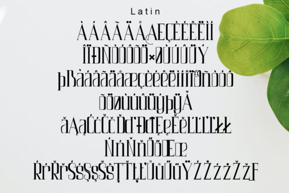 Air Leving Font - Preview 3
