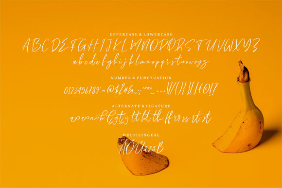 Betsley Font - Preview 5