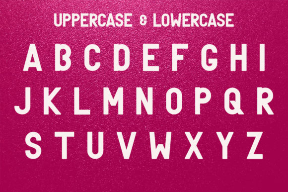 Delicia Font - Preview 3