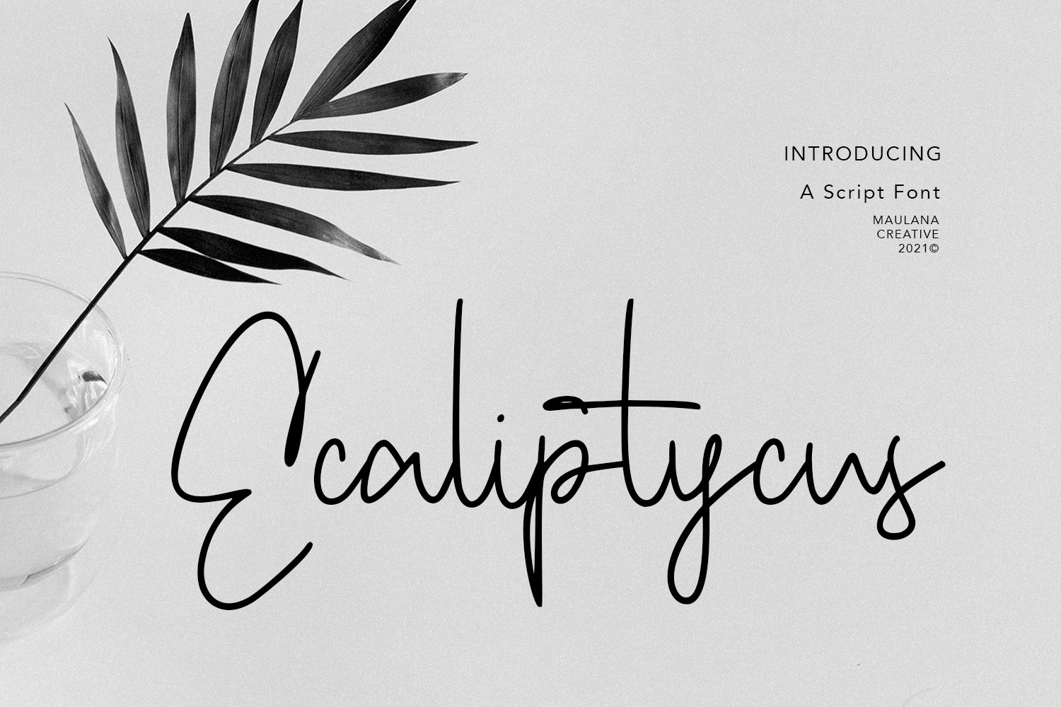 Placeholder image for Ecaliptycus Script, preview not available