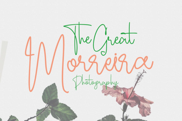 Ecaliptycus Script Font - Preview 3