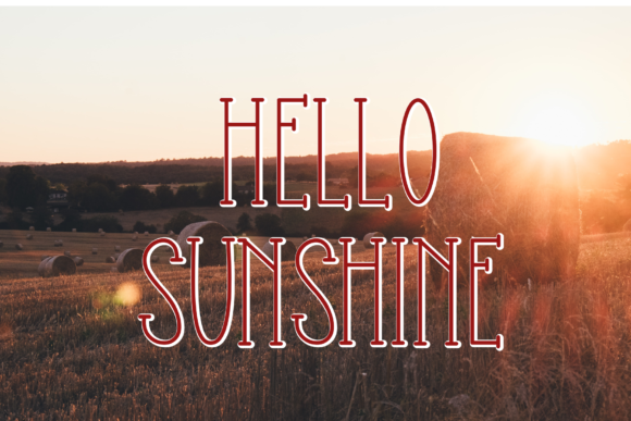 Farmers Made Font - Preview 2