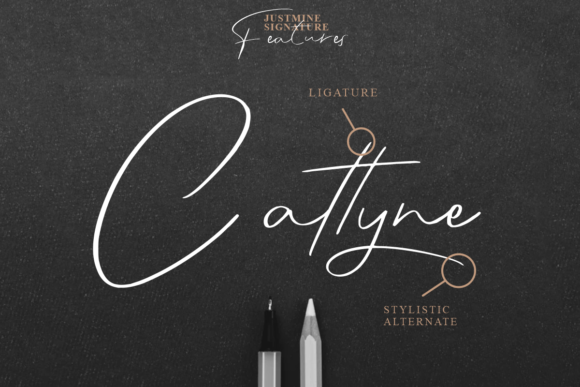 Justmine Signature Font PNG with transparent background - Preview 1