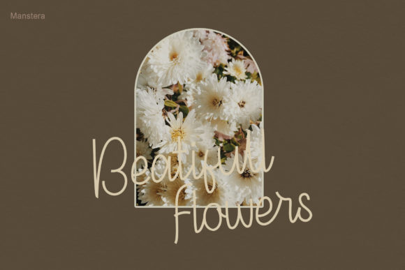 Manstera Font PNG with transparent background - Preview 1
